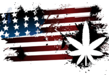 The ballot box could turn into a hot box this November ballot box turn hot box November