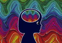 Is Ritalin a gateway drug? ritalin gateway drug