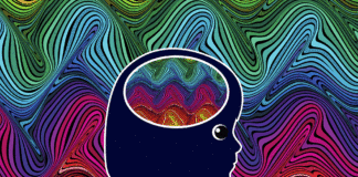 Is Ritalin a gateway drug? ritalin gateway drug