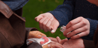 Why some teens are vulnerable to addiction while others aren’t teens vulnerable addiction