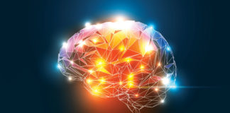 Cravings for heroin persists in the brain nine days after death, new study shows heroin cravings in the brain