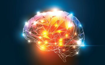 Cravings for heroin persists in the brain nine days after death, new study shows heroin cravings in the brain