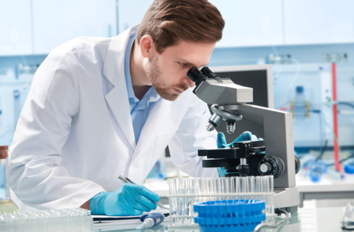 opioid vaccine early test