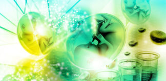 Risk for addiction can start before birth addiction and genetics