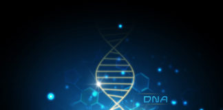 Small set of genes can predict propensity to heroin addiction with 85 percent accuracy genetic markers for heroin addiction