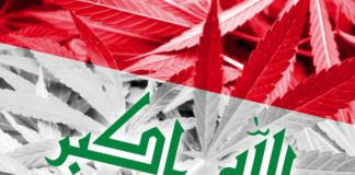 Iraq’s growing drug problem: From corridor to producer Iraq drug problem