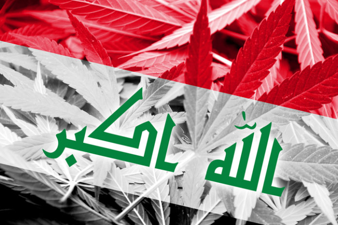 Iraq drug problem
