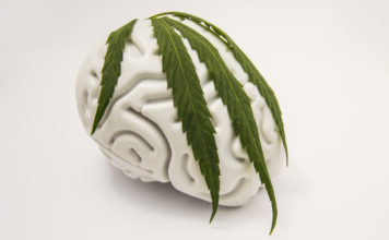 Marijuana blunts natural reward responses in the brain marijuana effects on the brain