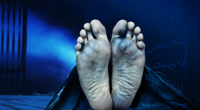 A new killer in the Peach State: ‘Gray Death’ A new killer in Peach State: 'Gray Death'