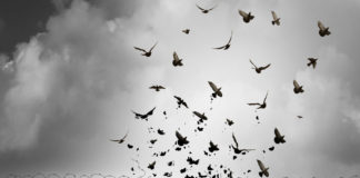 Addiction treatment barriers for people with co-occurring disorders Addiction treatment barriers for people with co-occurring disorders