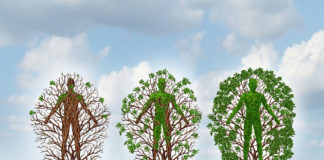 The branches of addiction recovery and intervention approaches The branches of addiction recovery and intervention approaches