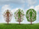 The branches of addiction recovery and intervention approaches The branches of addiction recovery and intervention approaches
