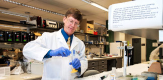 New immunotherapy can change cocaine addiction treatment anti cocaine drug