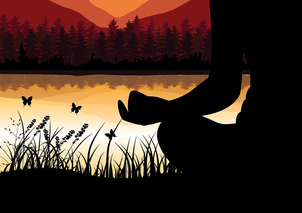 The impact of meditation on the brain during addiction treatment