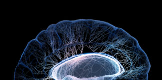 New research finds brain systems that can help curb cocaine abuse New research finds brain systems that can help curb cocaine abuse