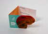 NIDA introduces the Drugs and the Brain Wallet Card for relapse prevention nida-introduces-the-drugs-and-the-brain-wallet-card-for-relapse-prevention_720