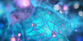 Strong connectivity between brain networks can predict and prevent cocaine relapse strong-connectivity-between-brain-networks-can-predict-and-prevent-cocaine-relapse_720