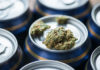 The effects of alcohol and marijuana on academic performance The effect of alcohol and marijuana on academic performance