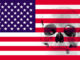 New UN report: the US has the highest drug death rate in the world New UN report: the U.S. has the highest drug death rate in the world