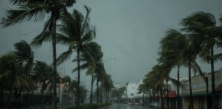 Recent hurricanes push addiction to the forefront Recent hurricanes push addiction to the forefront