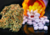 New study links marijuana use to increased risk of opioid use disorder New-study-links-marijuana-use-to-increased-risk-of-opioid-use-disorder