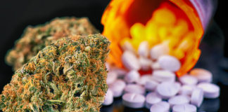 New study links marijuana use to increased risk of opioid use disorder New-study-links-marijuana-use-to-increased-risk-of-opioid-use-disorder