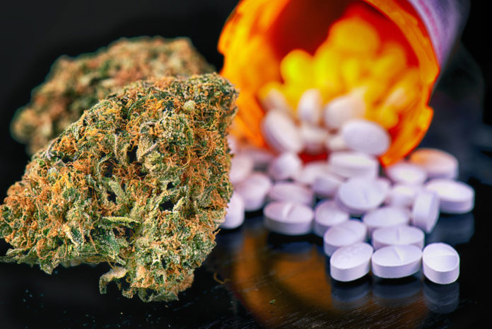 New-study-links-marijuana-use-to-increased-risk-of-opioid-use-disorder