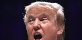 Trump Reneges on Declaring Opioid Crisis National Emergency Donald Trump Opioid Crisis