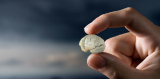 Scientists Develop “Mini-Brains” to Test How Psychedelic Drugs Affect the Brain