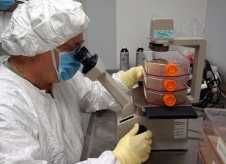 Vaccine that Prevents Opiate Addiction May Soon be a Reality