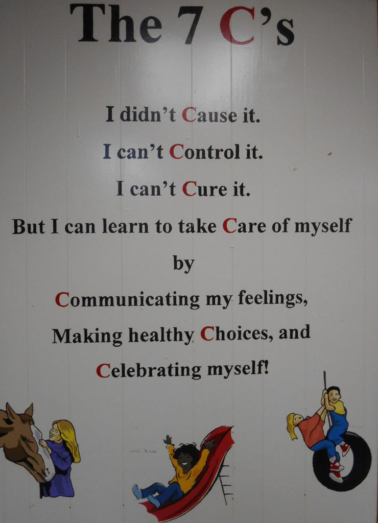 7 Cs