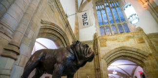 New Haven Addiction Treatment Studies May Spearhead Progress New Haven Addiction Treatment Studies May Spearhead Progress