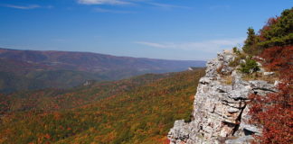 Record Number of Fatal Overdoses in West Virginia