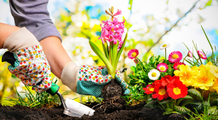 Addiction Recovery House in Athens, Ohio Experiments with Horticultural Therapy Addiction Recovery House in Athens, Ohio Experiments with Horticultural Therapy