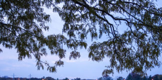 New Drug Addiction Treatment Program in Bloomington Helps Inmates New Drug Addiction Treatment Program in Bloomington Helps Inmates