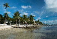 New Drug Detox Center in Largo Causes Controversy New Drug Detox Center in Largo Causes Controversy