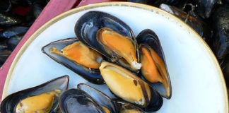 Traces of Oxycodone Found in Mussels Off the Coast of Washington