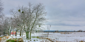 Azle Addiction Recovery Program Expands with Grant Funds Azle Addiction Recovery Program Expands with Grant Funds