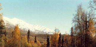 Chugiak Drug Addiction Treatment Efforts Expanding Chugiak Drug Addiction Treatment Efforts Expanding