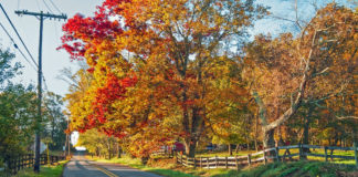 Freehold Drug Addiction Treatment on Wheels Provides Hope Freehold Drug Addiction Treatment on Wheels Provides Hope