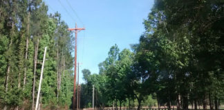 Potential Drug Rehabilitation Center in Carriere Debated Potential Drug Rehabilitation Center in Carriere Debated