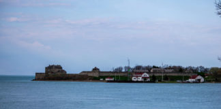 Youngstown Drug Abuse Program Benefits from Peer Support Youngstown Drug Abuse Program Benefits from Peer Support