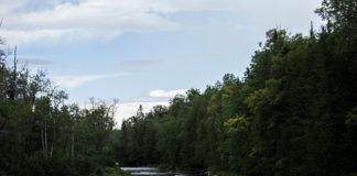 Events Celebrate Drug Addiction Recovery in Aroostook County Events Celebrate Drug Addiction Recovery in Aroostook County