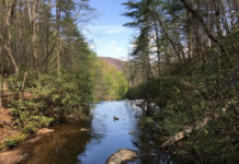 Connelly Springs Drug and Alcohol Abuse Highlighted at Barbeque Connelly Springs Drug and Alcohol Abuse Highlighted at Barbeque