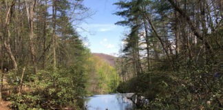 Connelly Springs Drug and Alcohol Abuse Highlighted at Barbeque Connelly Springs Drug and Alcohol Abuse Highlighted at Barbeque