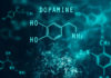 New Dopamine Research Findings May Redefine Addiction Treatment New Dopamine Research Findings May Redefine Addiction Treatment