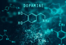 New Dopamine Research Findings May Redefine Addiction Treatment  New Dopamine Research Findings May Redefine Addiction Treatment