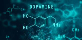 New Dopamine Research Findings May Redefine Addiction Treatment  New Dopamine Research Findings May Redefine Addiction Treatment
