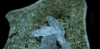 The Escalation of Meth Use in America with Deadly Consequences The Escalation of Meth Use in America with Deadly Consequences