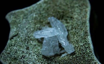 The Escalation of Meth Use in America with Deadly Consequences The Escalation of Meth Use in America with Deadly Consequences